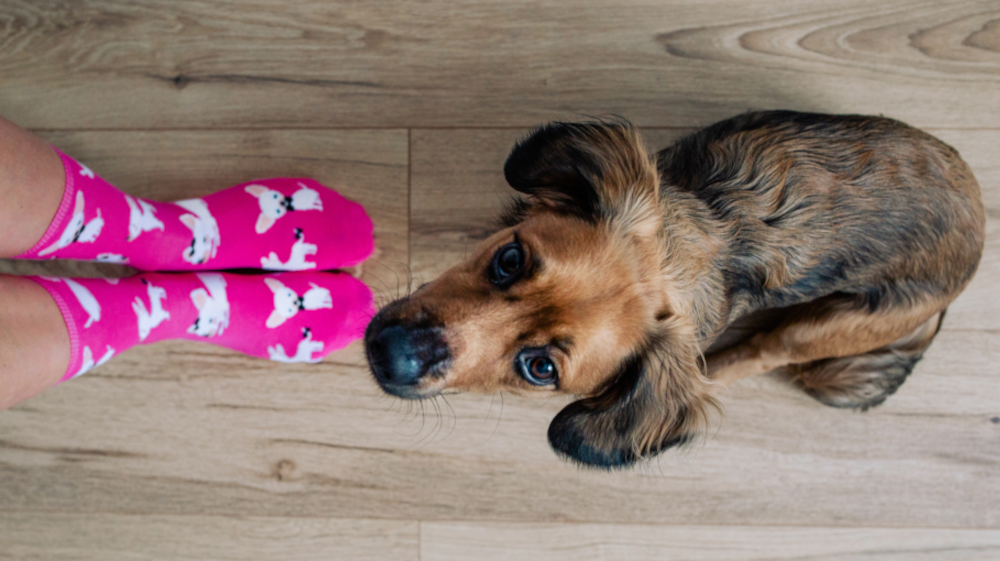 Wzorowane skarpety dla hobbystów