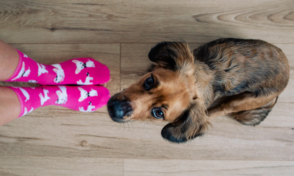 Wzorowane skarpety dla hobbystów