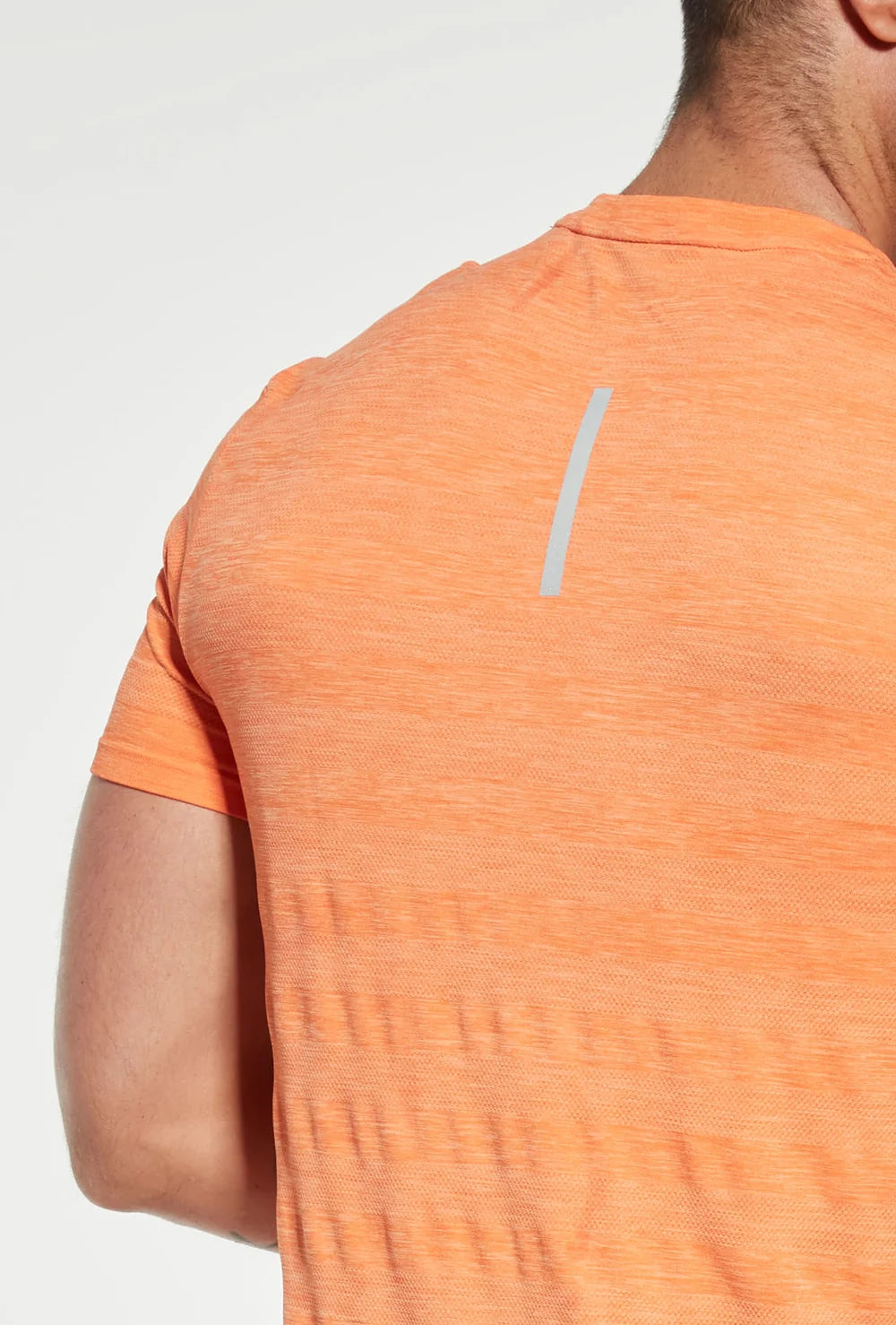 T-shirt męski Ziggy - Gatta