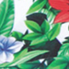 FLORA 1