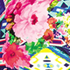 FLORA 6