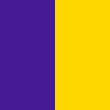 VIOLET+YELLOW