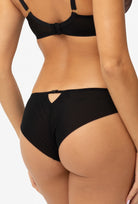 Brazyliany Irys